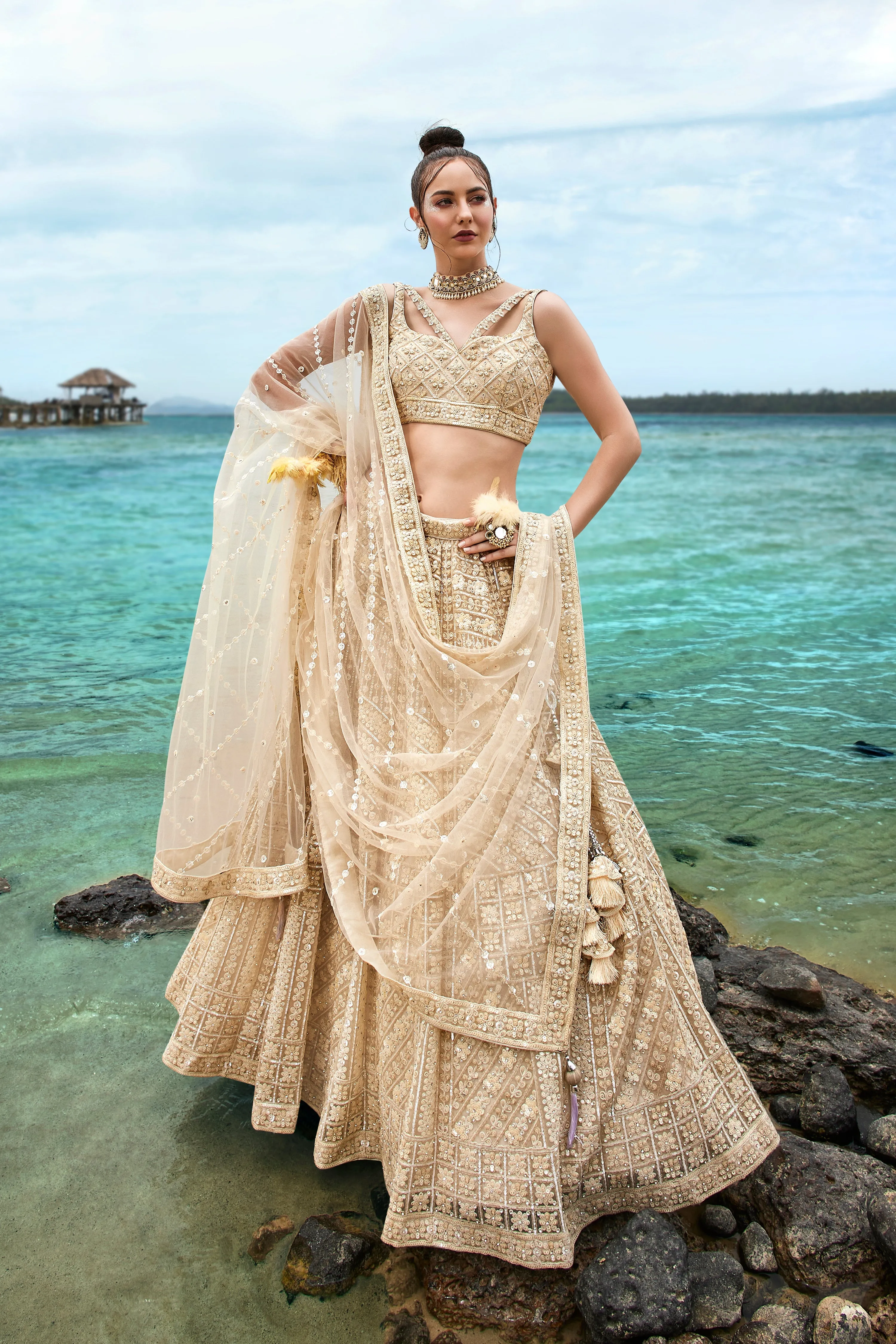 Cream Net Sequins, Zarkan and thread embroidery Semi-Stitched Lehenga choli & Dupatta