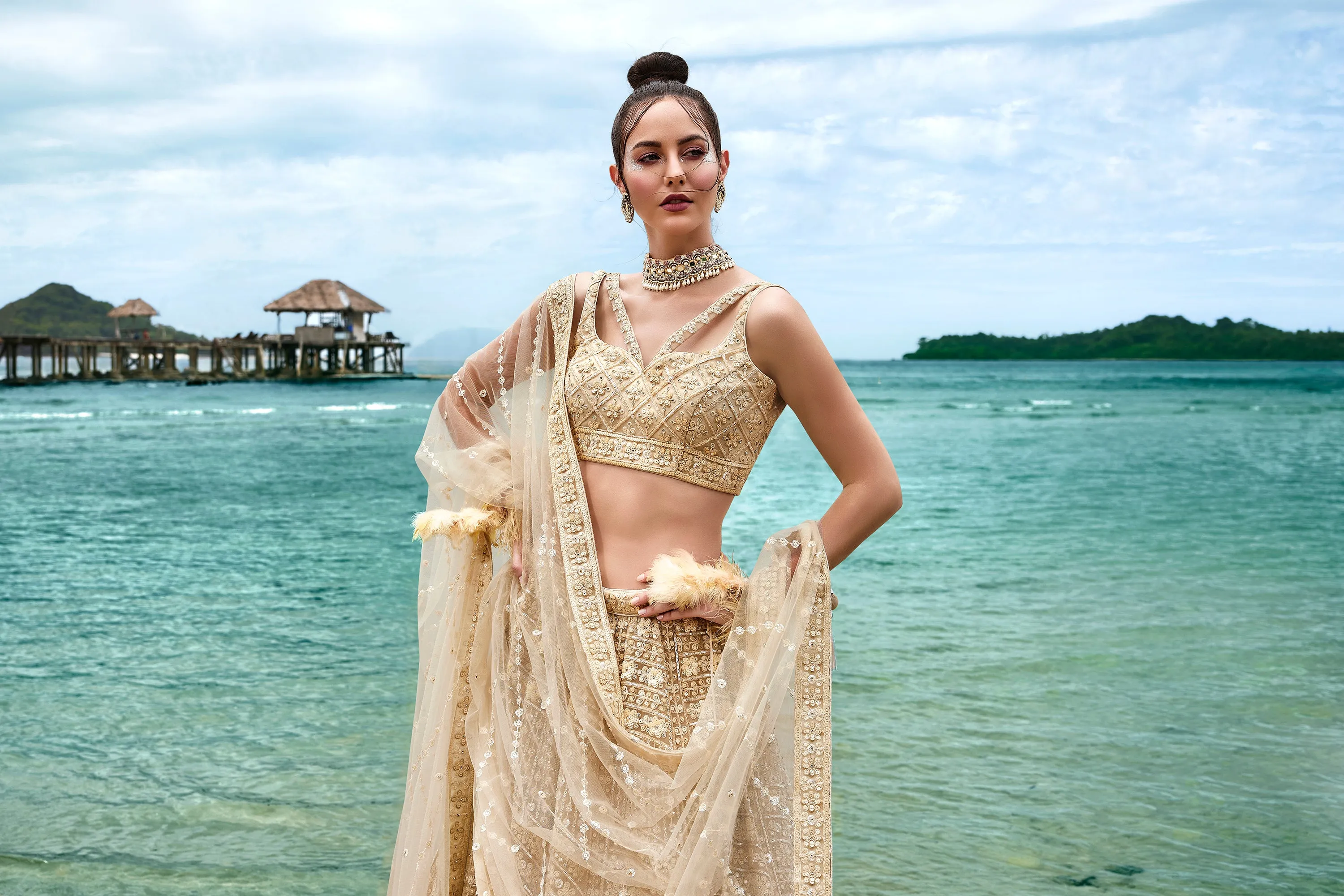 Cream Net Sequins, Zarkan and thread embroidery Semi-Stitched Lehenga choli & Dupatta