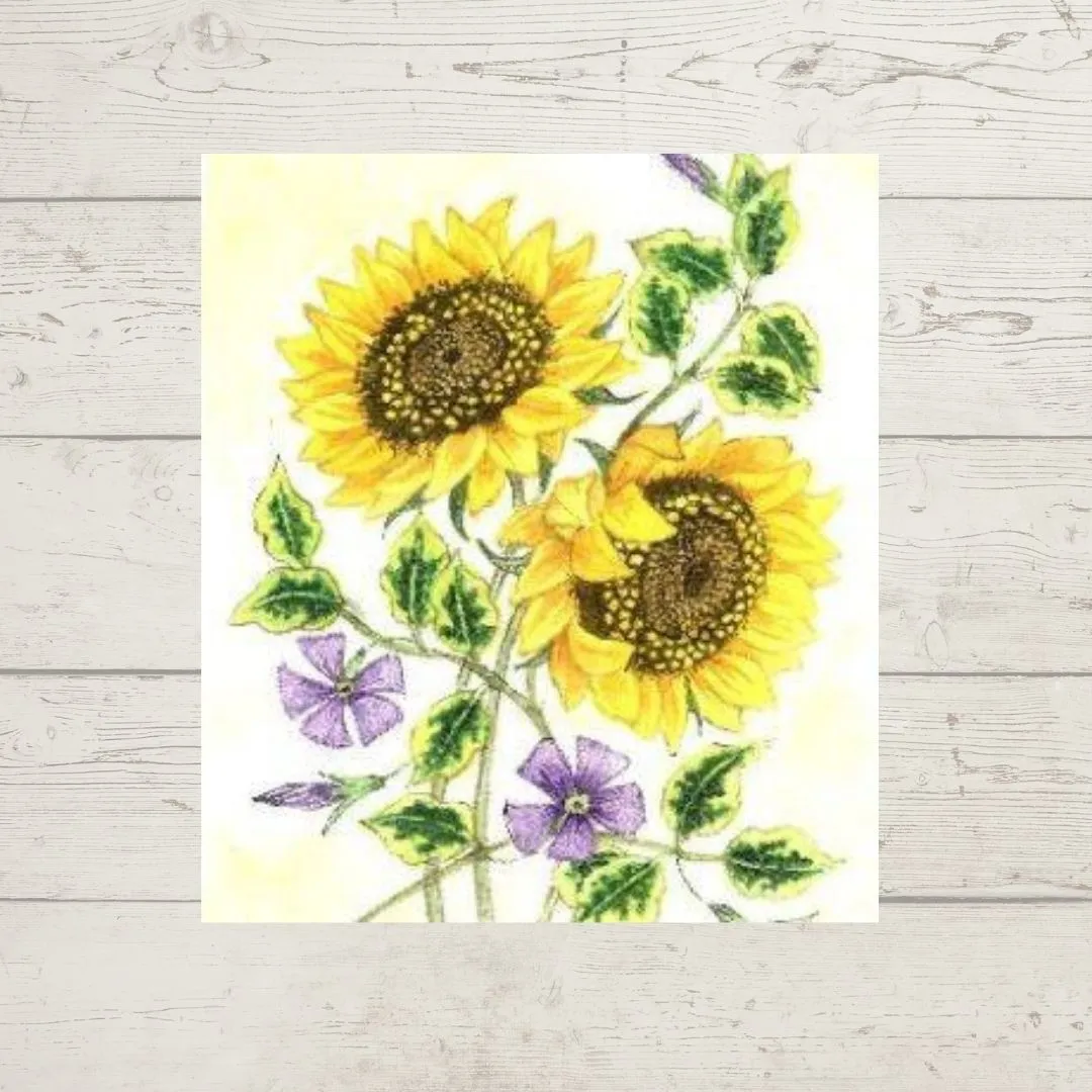Dicraft Embroidery Panels and Kits: Weekend Projects