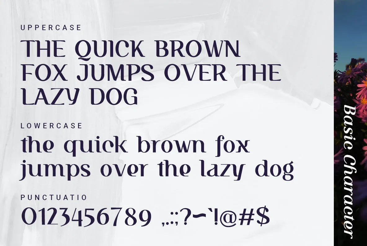 Sachila Residance - Free Serif Font