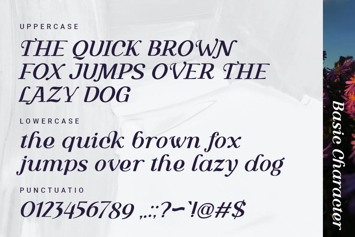 Sachila Residance - Free Serif Font