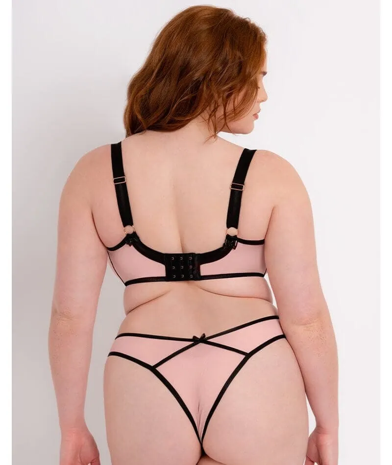 Scantilly Tantric Balcony Bra - Blush/Black Black Pink